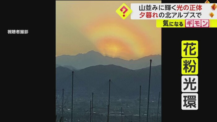 花粉光環