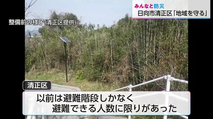 （以前は避難階段のみだった雑木林）