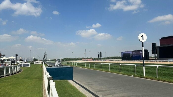 舞台となるメイダン競馬場