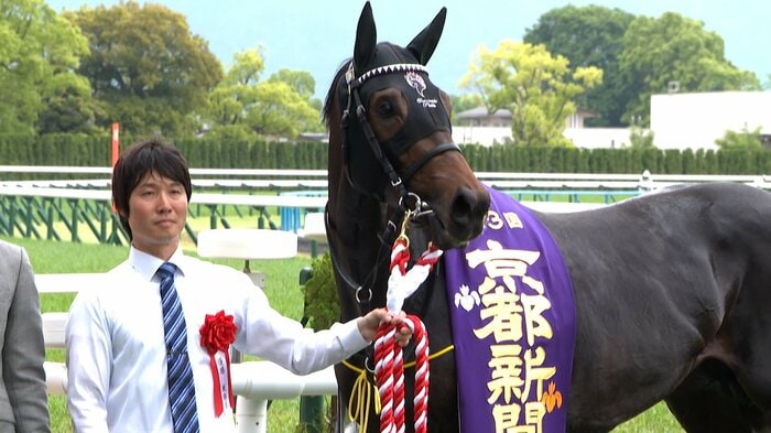 京都新聞杯を制したショウヘイ