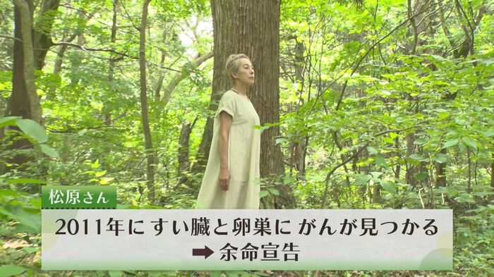 2011年 膵臓と卵巣にがんが見つかる