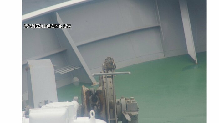 ２羽の鳥が羽休め！？