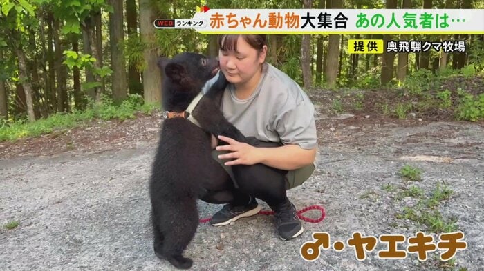 ニュースONE