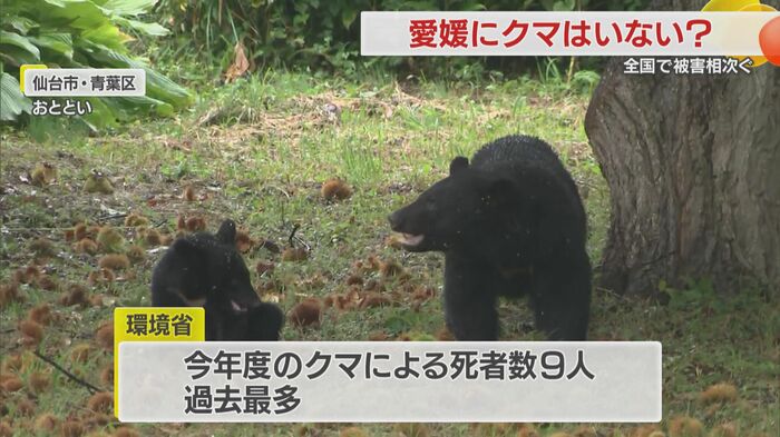 全国で相次ぐクマの被害