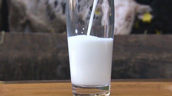 牛乳の輸出も 生乳余り問題の打開策にもなるか