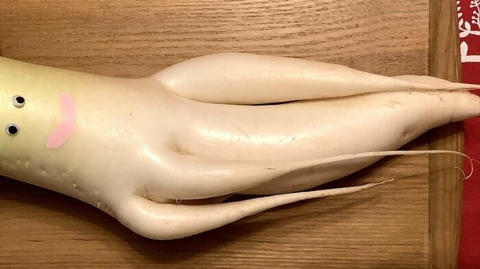 投稿者コメント「おっとびっくり！！」