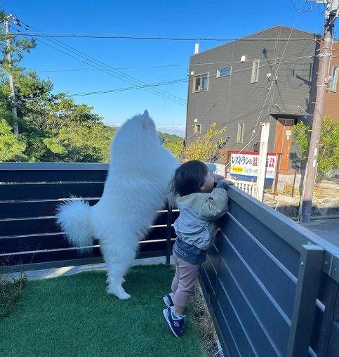 ひるねちゃんと快くん。おなかの下はやっぱり潜り込めそう!