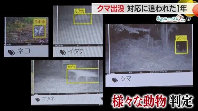 クマ・サル・イノシシからの被害を防ぐために導入し、5年間で動物の種類を判別できるようになった