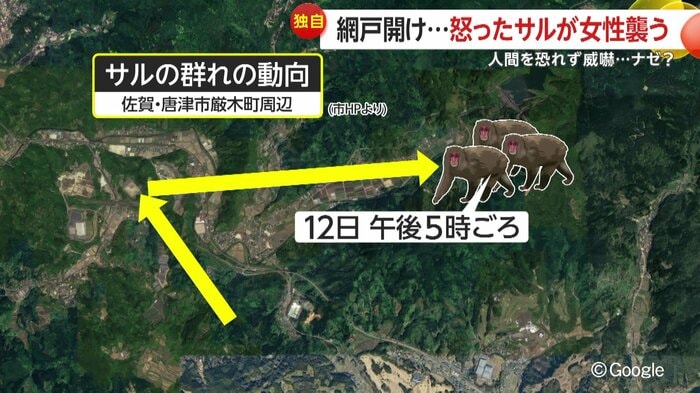 発信器をつけたサルの群れの動向