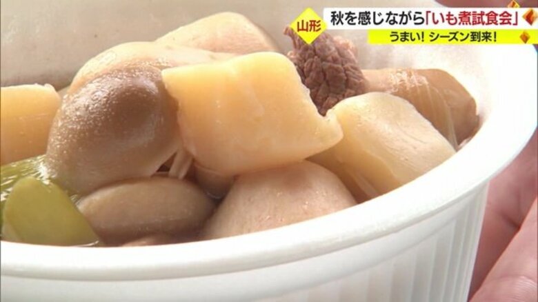 秋の風物詩・芋煮会シーズン到来！　県産のサトイモたっぷり「みんなで食べるといつもよりおいしい」【山形発】｜FNNプライムオンライン