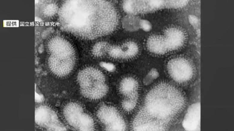 県内でインフルエンザ感染広がる…感染者数が前週の約2倍に　手洗いなど対策呼びかけ　「リンゴ病」は18週連続で警報レベル　福岡｜FNNプライムオンライン