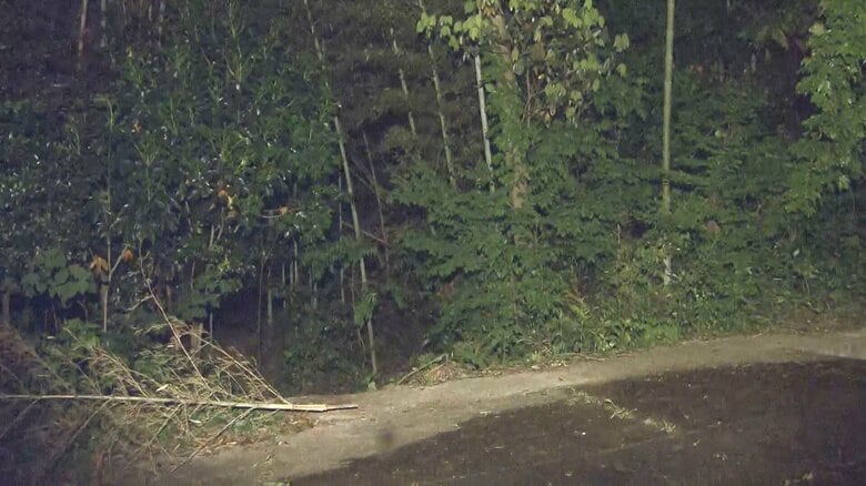不倫関係だった同僚女性を殺害し雑木林に遺棄した罪 32歳男に懲役17年を求刑 検察側は強固な殺意を指摘｜FNNプライムオンライン