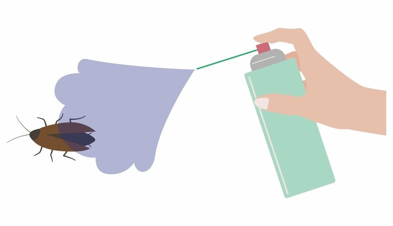 ゴキブリを焼くと集まってくる？超音波って効くの？巷にあふれる“G”にまつわる噂の真相を駆除業者が解説｜FNNプライムオンライン