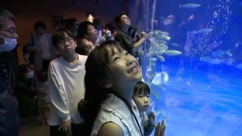 ジンベエザメに絵本づくり、野菜収穫まで　子どもが夢中になったGW鹿児島の体験スポット3選｜FNNプライムオンライン