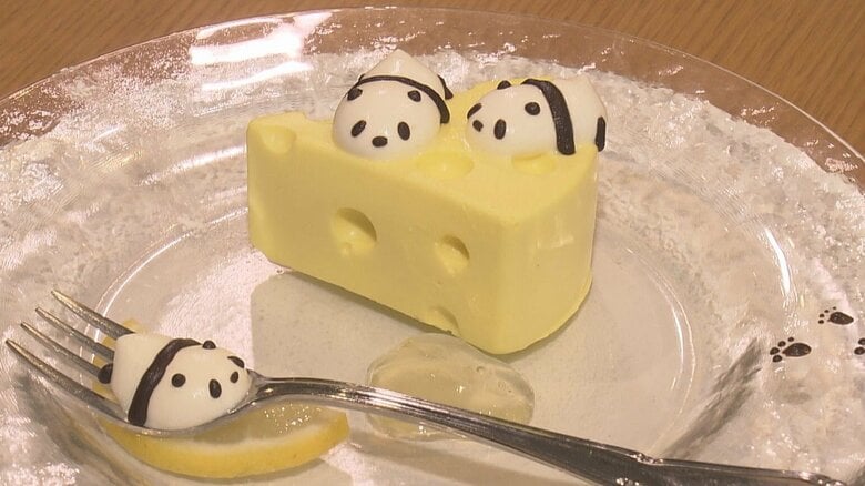 藤井七冠が4連覇に王手の棋聖戦　食べるのがもったいない!? “第5局”で待つおやつは「いたずらパンダのチーズケーキ」｜FNNプライムオンライン