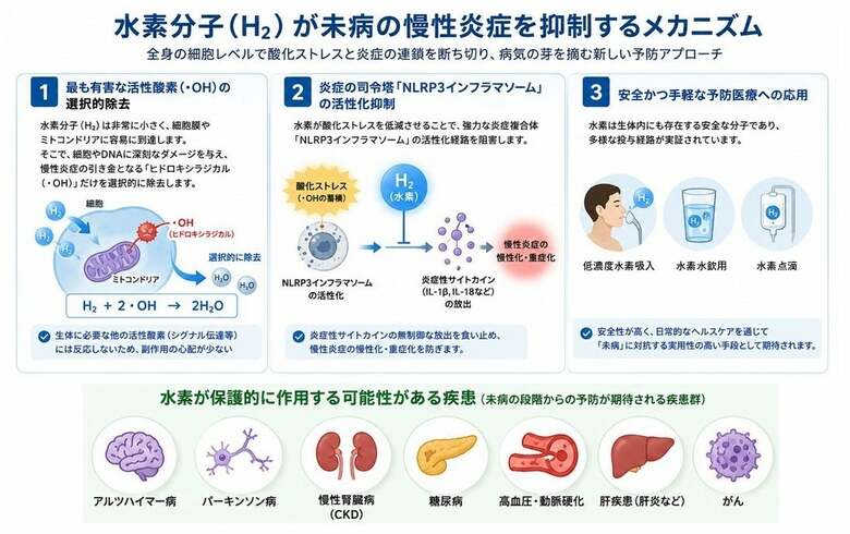 低濃度水素が「未病」の慢性炎症を抑制する可能性｜MiZ・UC Berkeley・慶應義塾大学 総説