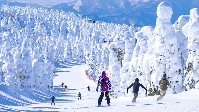 【解説】今年はスキー・スノボの“当たり年”？クリスマス直前に東日本で“もう一回大雪”予想　気温低めで「最高のシーズン」の声も｜FNNプライムオンライン