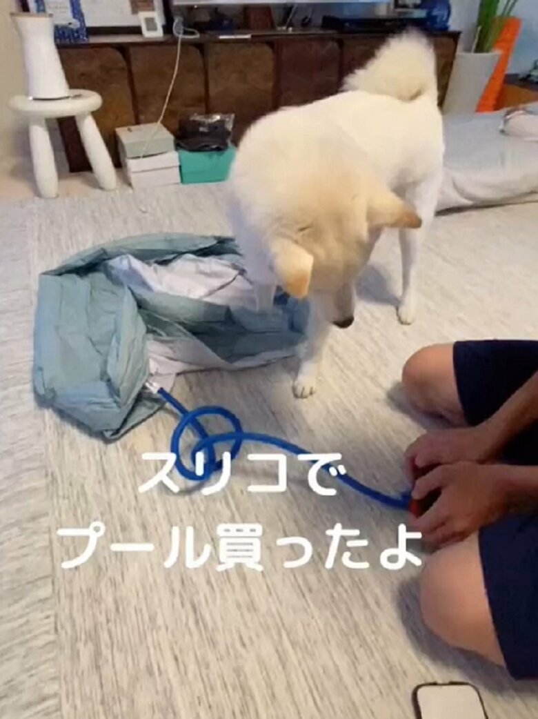 空気を入れる長男くんと、それを見つめるだい吉くん