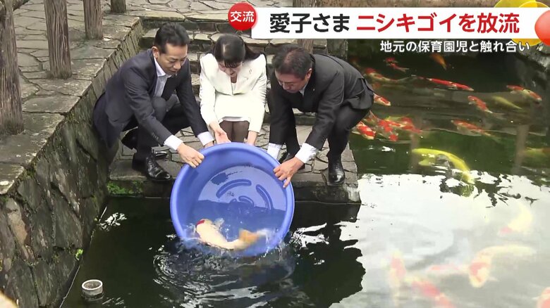 「丹頂紅白」という品種のニシキゴイを放流された愛子さま