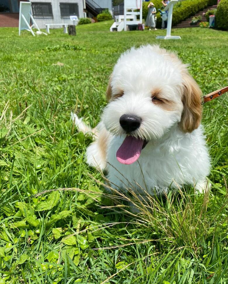 眩しそうなあんちゃん