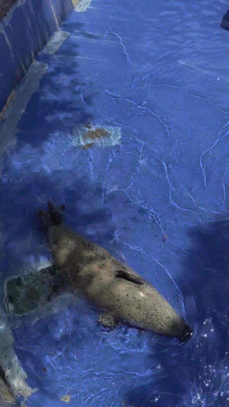 （提供：名古屋市東山動植物園）