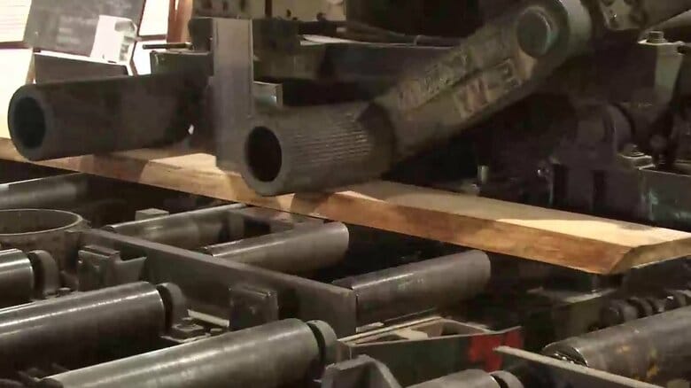 被災木の強度試験