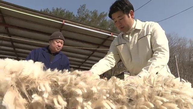 皮膚を健康に保つ成分「ケラチン」質の良さに着目