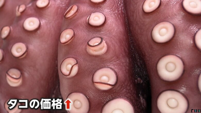 価格が高騰している、たこ焼きの原材料であるタコ