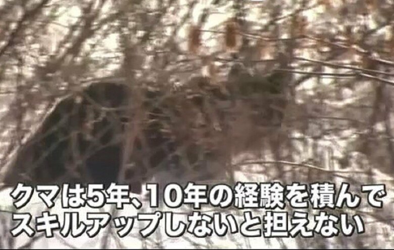 「クマと対峙するには5年10年が必要」