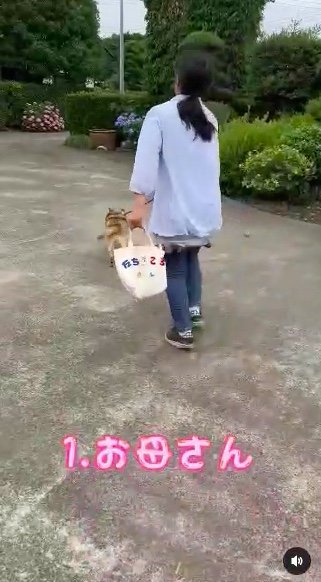 提供：タチバナさんの毎日ルーティン