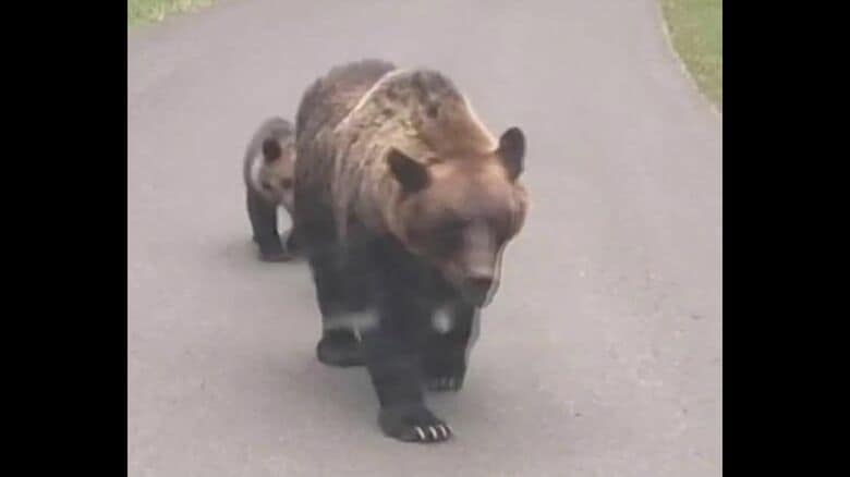 あふれるほどの個体数の多さが一番の問題