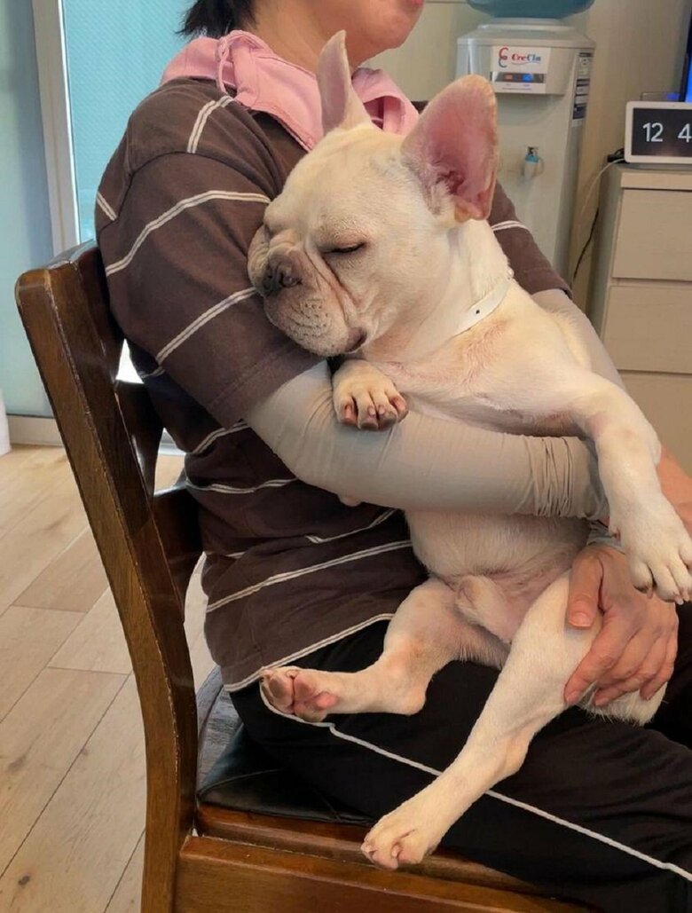 旦那さんのお姉さんに抱っこしてもらってぐっすり