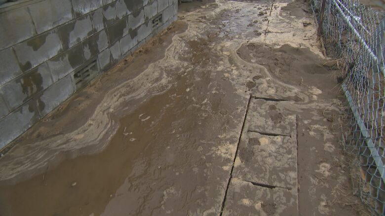 能登半島地震で液状化被害を受けた新潟市（2024年1月）