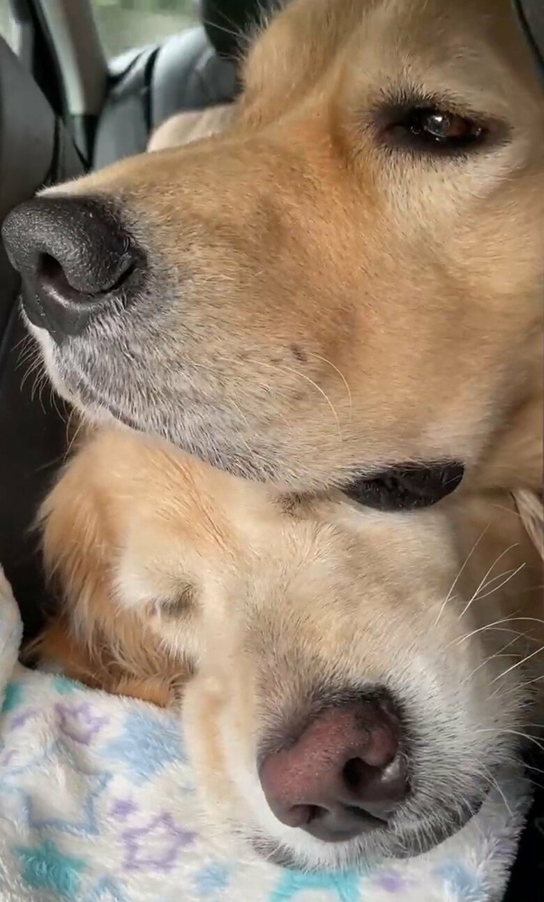 こうなることも。下にいるのがルーシーちゃん