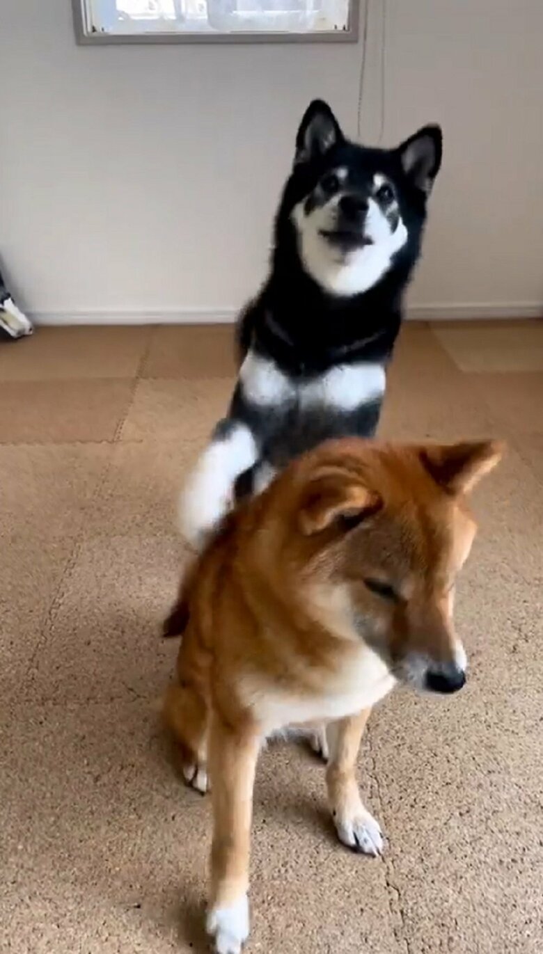 みくちゃんは、りなちゃんに駆け寄り、立ち上がると…