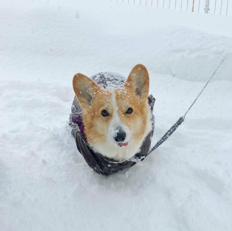 提供：むぎん家＠きよらさん