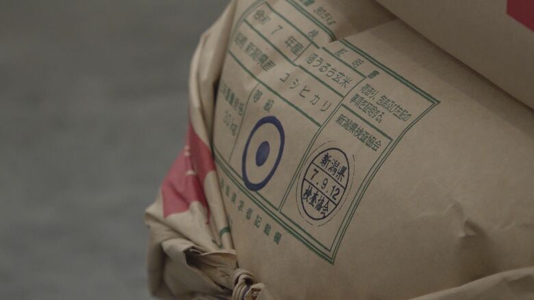 魚沼産コシヒカリ