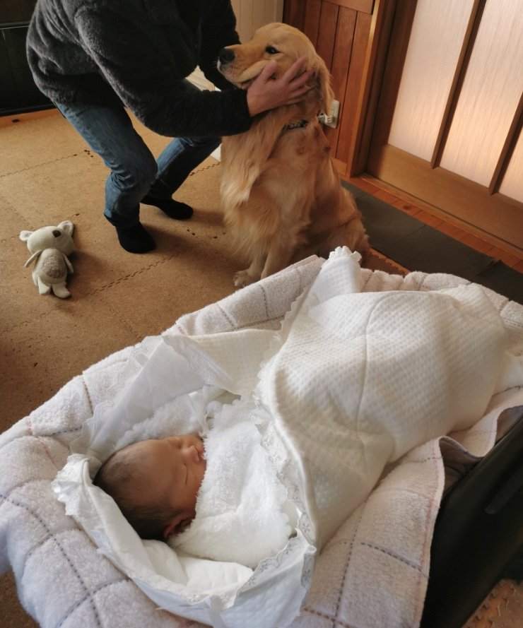 ベビさんに初対面のとき（提供：ふぉるてさん）