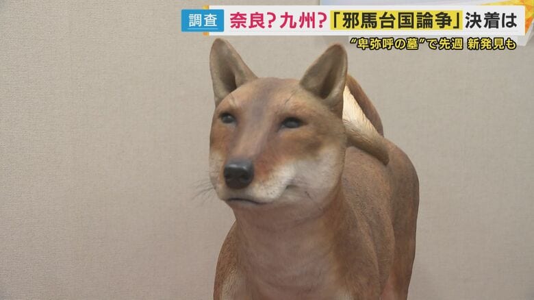 遺跡から出てきた犬の全身骨格から復元された模型