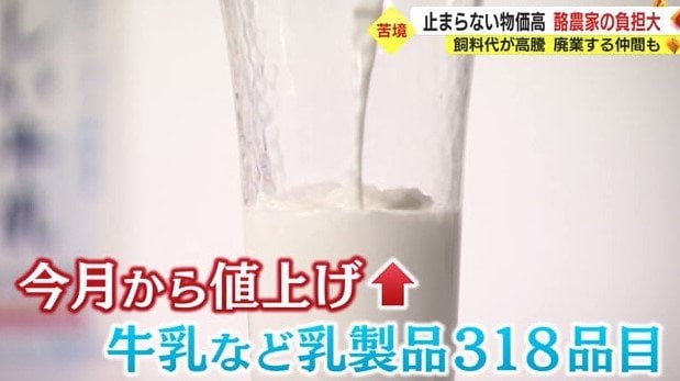 2022年11月から乳製品318品目が値上げ