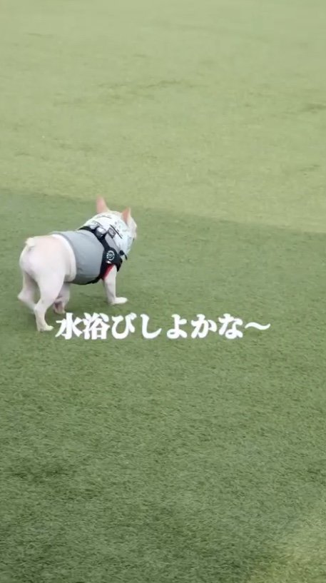 提供：むぎさん