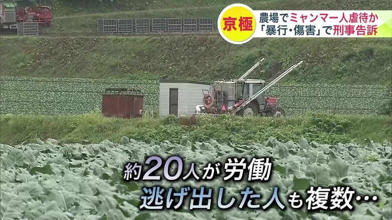 現場では約20人が労働 逃げ出した人は複数か