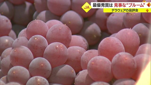 最優秀賞に選ばれたデラウェア