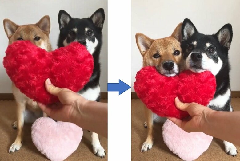 顔を寄り添わせてハートにあご乗せ