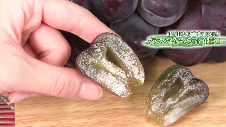 ブラックシャインマスカット 富士の輝