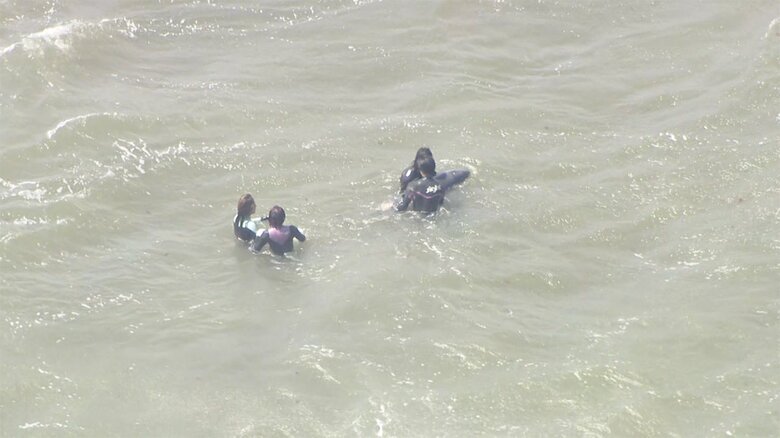 現場では、サーファーらがイルカを海に戻そうとする様子が見られた。