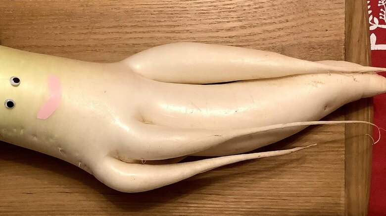 投稿者コメント「おっとびっくり！！」