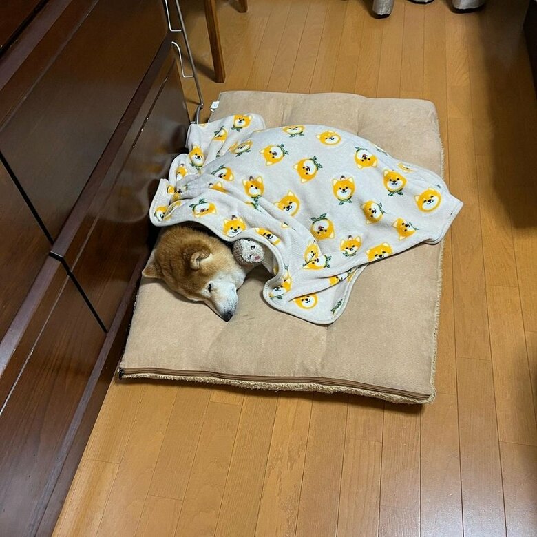 一緒に寝ている人形は「りす姫」といいます