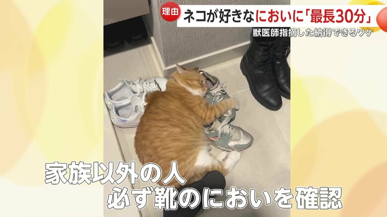 来客では“靴検閲”に入るというぐっぴー（提供:@gupitaro）