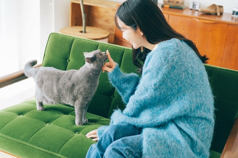 画像はイメージ